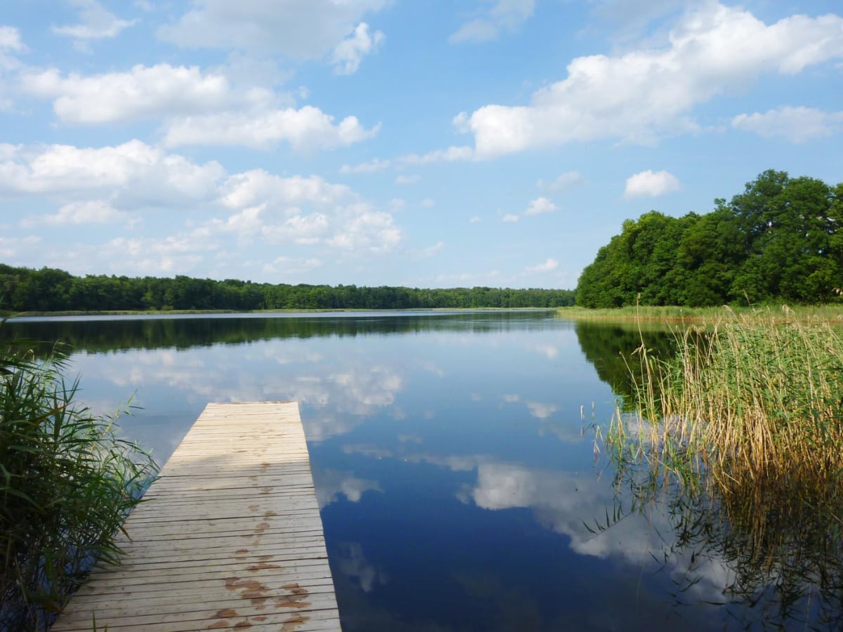 4z3_Badestelle Hohenwalde_10.08.10_16.17